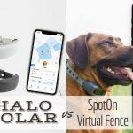 halo-collar-vs-spoton-virtual-fence:-qual-e-il-migliore?
