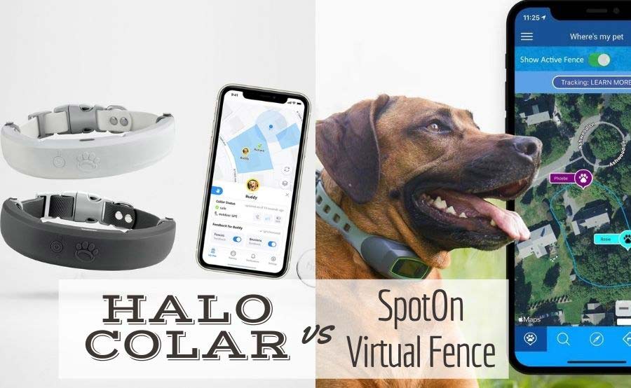 halo-collar-vs-spoton-virtual-fence:-qual-e-il-migliore?