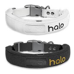 Halo collars white and black