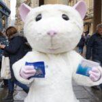 peta-'rat'-distribuisce-maschere-per-il-viso-gratuite-–-con-un-messaggio