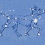 oroscopo-per-animali-domestici-di-dicembre:-cosa-hanno-in-serbo-le-stelle-per-cani-e-gatti