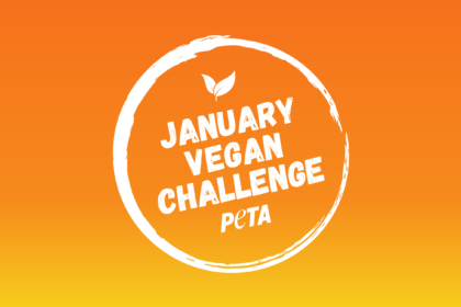 prova-la-sfida-vegana-di-gennaio-di-peta