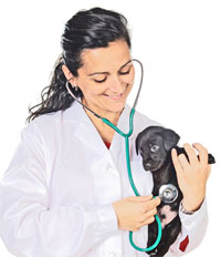 domande-frequenti-sulla-scelta-e-la-visita-dal-veterinario
