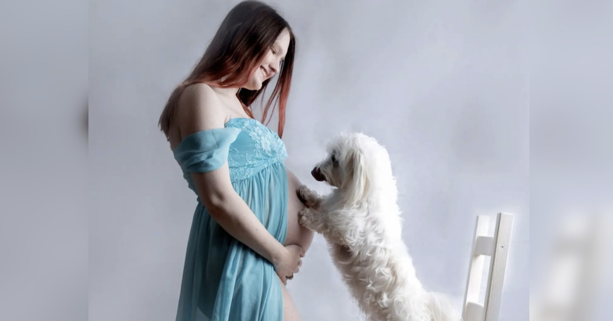 il-cane-da-assistenza-diventa-il-primo-cane-del-regno-unito-ad-aiutare-la-gravidanza-umana