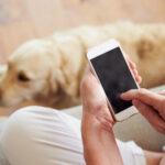 6-modi-in-cui-la-fotocamera-del-tuo-smartphone-puo-migliorare-la-tua-prossima-visita-veterinaria