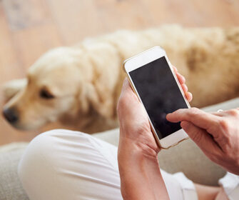6-modi-in-cui-la-fotocamera-del-tuo-smartphone-puo-migliorare-la-tua-prossima-visita-veterinaria