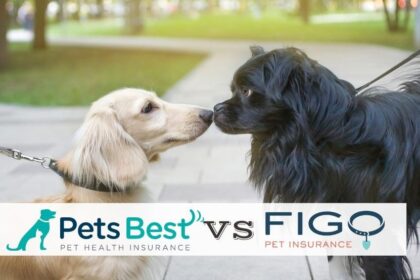 pets-best-vs-figo:-quale-offre-prezzi-piu-bassi-per-la-migliore-copertura?
