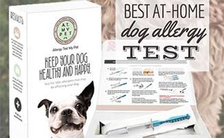 Dog allergy test (Caption: Best At-Home Dog Allergy Test)