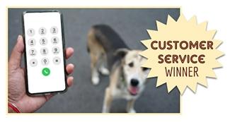 Person holding phone next to dog (Caption: Customer Service Winner)