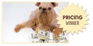 Dog lying next to money (Caption: Pricing Winner)