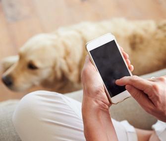 Woman holding smartphone in front of dog