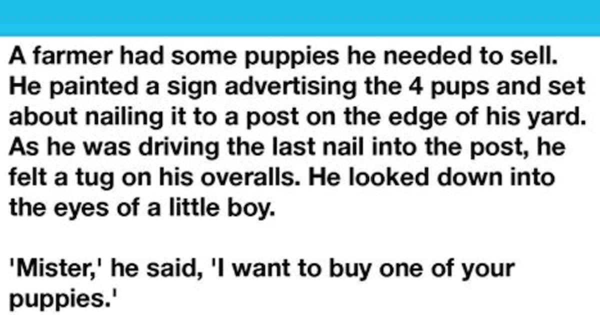 little-boy-ha-scelto-un-cucciolo-“storpiato”-dalla-lettiera-del-contadino-da-acquistare