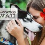 la-migliore-assicurazione-per-animali-domestici-alle-hawaii:-quale-compagnia-offre-la-massima-copertura-e-prezzo-nello-stato-di-aloha?