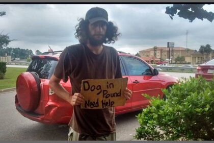 un-senzatetto-si-trova-fuori-da-walmart-chiedendo-aiuto-per-il-suo-cane-e-una-donna-e-venuta-in-suo-soccorso