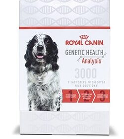 recensioni-del-test-del-dna-del-cane-royal-canin:-questo-test-veterinario-e-migliore-dei-test-a-casa?