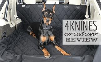 Large dog sitting in the back of a car on a car set (Caption: 4Knines Car Seat Cover Review)