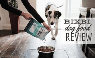 Dalmatian running toward woman pouring dog food in bowl (Caption: BIXBI Dog Food Reviews)