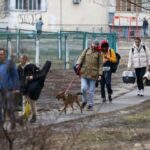 aggiornamenti-sulla-situazione-degli-animali-in-ucraina