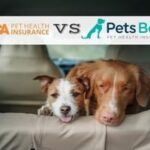 aspca-pet-insurance-vs-pets-best:-confronta-copertura,-prezzo-e-altro