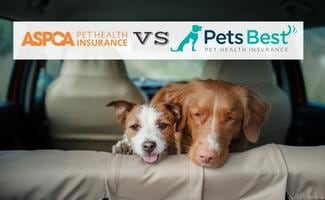 aspca-pet-insurance-vs-pets-best:-confronta-copertura,-prezzo-e-altro