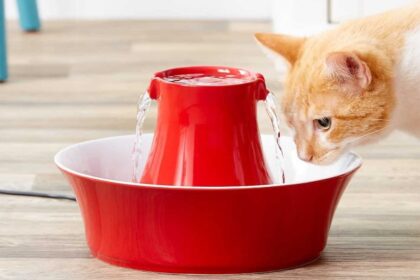bevi-e-spruzza!-10-fantastiche-fontane-d'acqua-per-gatti