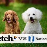 fetch-vs-national-pet-insurance:-e-migliore-e-piu-conveniente?