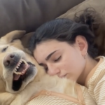 adorabile-cane-da-terapia-e-ragazza-si-addormentano-coccolandosi-con-i-pigiami-abbinati