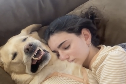 adorabile-cane-da-terapia-e-ragazza-si-addormentano-coccolandosi-con-i-pigiami-abbinati