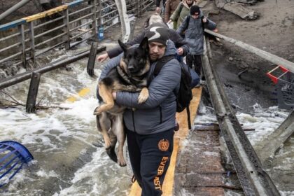 gli-animali-domestici-ucraini-e-i-loro-soccorritori-continuano-a-soffrire-mentre-la-guerra-infuria