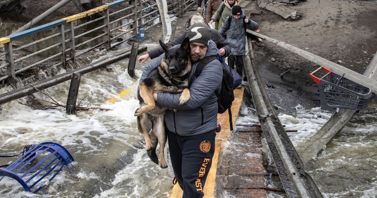 gli-animali-domestici-ucraini-e-i-loro-soccorritori-continuano-a-soffrire-mentre-la-guerra-infuria