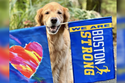 il-cane-da-terapia-con-il-cancro-diventa-cane-ufficiale-della-126a-maratona-di-boston