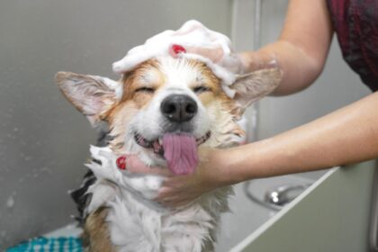 shampoo-alle-erbe-e-trattamenti-hot-spot