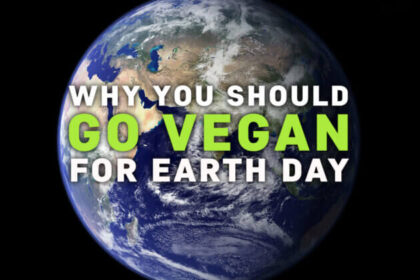 giornata-della-terra-2022:-22-motivi-per-diventare-vegani-il-22-aprile