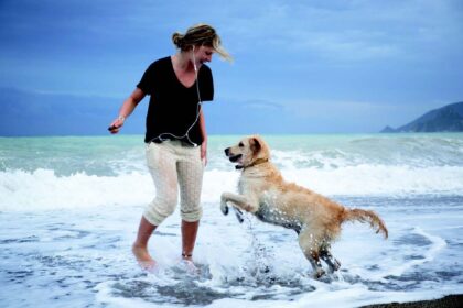 9-regole-della-spiaggia-per-cool-dogs