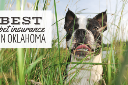 la-migliore-assicurazione-per-animali-domestici-in-oklahoma:-aziende-recensite-a-tulsa,-oklahoma-city-e-altro-ancora