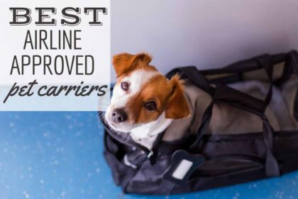 i-migliori-trasportini-per-animali-domestici-approvati-dalle-compagnie-aeree-per-l'uso-in-cabina-e-cargo