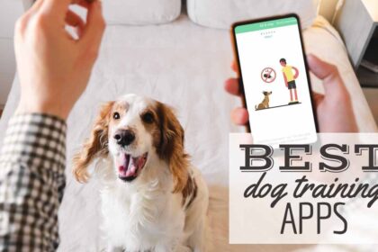 7-migliori-app-di-addestramento-per-cani-per-iphone-e-android