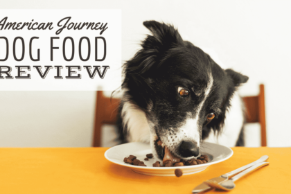 recensione-di-cibo-per-cani-di-american-journey