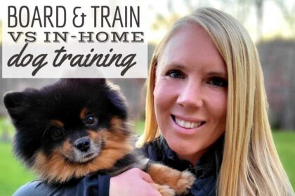 consiglio-e-addestramento-o-addestramento-a-domicilio:-quale-scelta-e-giusta-per-il-tuo-cane?