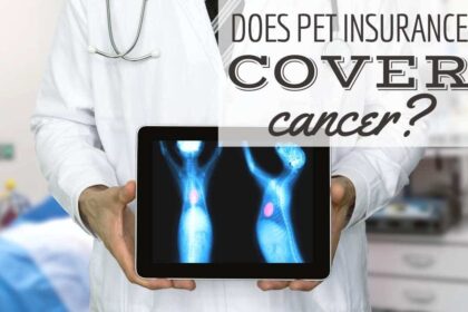 l'assicurazione-per-animali-domestici-copre-il-cancro?